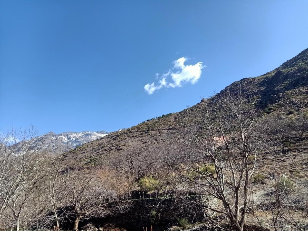 Toubkal Resting Lodge อิมลิล ภายนอก รูปภาพ